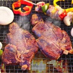 Fiberglas Barbekü Teli 40X50 Cm (Fbt-40)