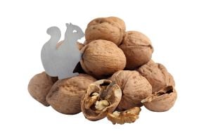 كانكان 1307 فتاحة الجوز