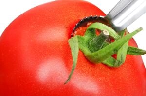 Cancan 1306 Domates Kaşığı