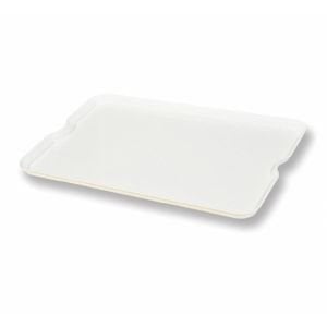Avatherm Abs Pizza Hamur Tepsisi 40x60 cm