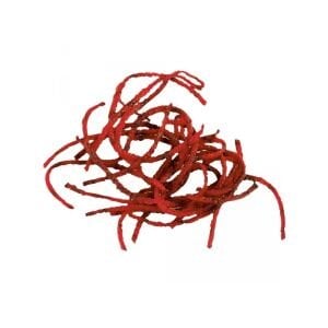 Robot Coupe Rendeleyici Disk 2 mm